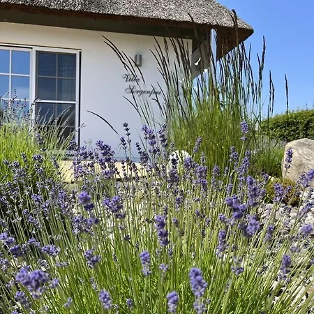 Ferienhaus Sorgenfrei